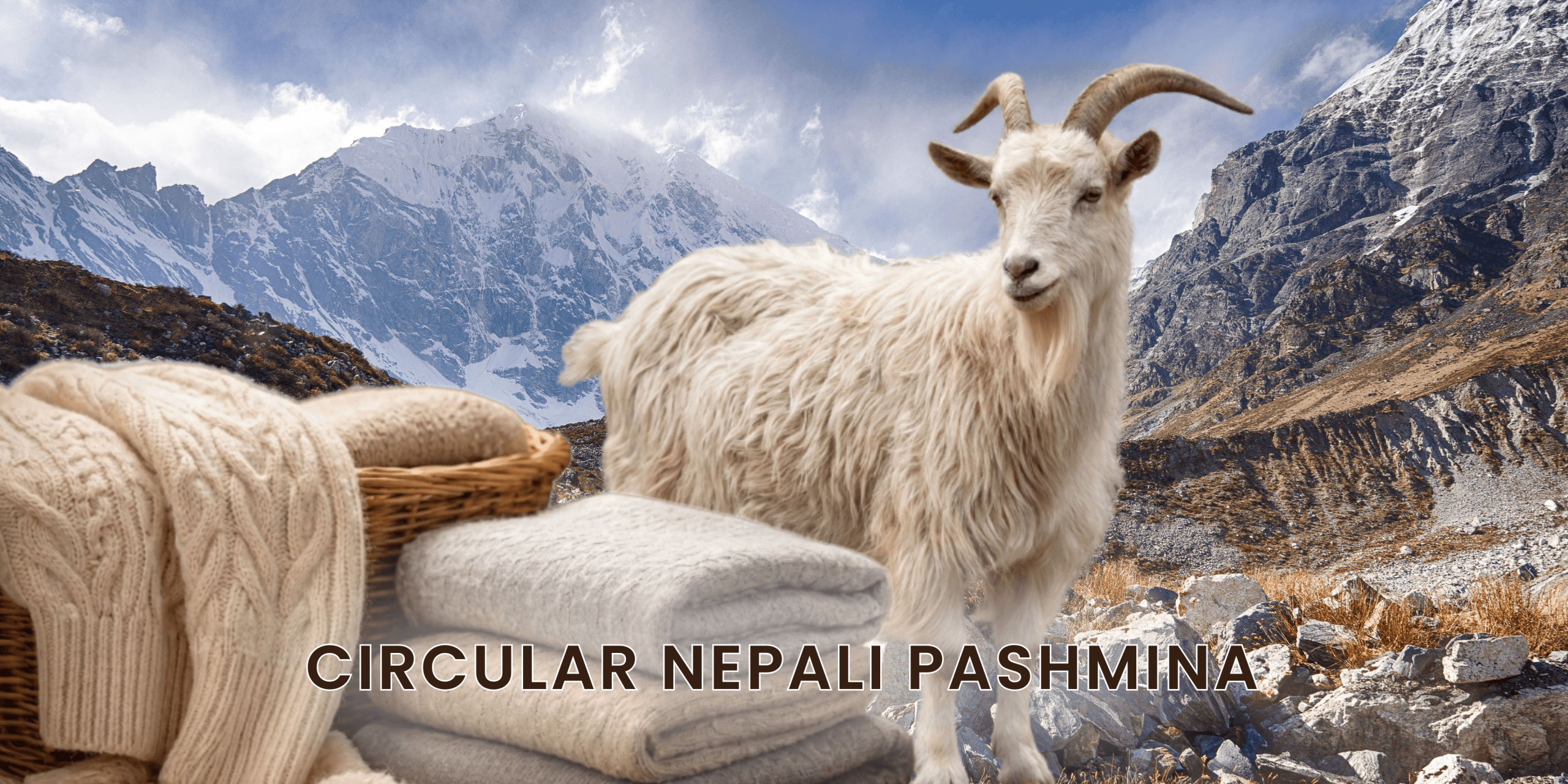 Circular Nepali Pashmina
